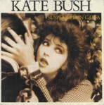 Kate Bush: Suspended In Gaffa
