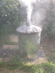 The clean-up job: Burning the pigs in an incinerator and bleaching around the garden